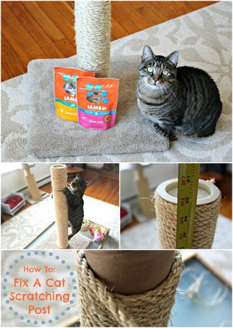 How to Re-Sisal a Cat Scratching Post | Scrappy Geek