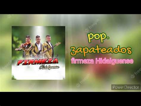 Popurri De Zapateados En Vivo Trio Firmeza Hidalguense Youtube