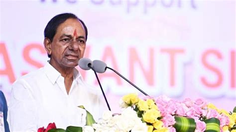 Telangana Govt Increases Quota For Scheduled Tribes To 10 Latest