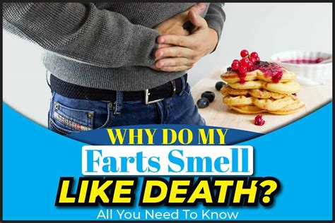 Why Do Some Farts Smell Like Eggs 5 Different Types O - vrogue.co