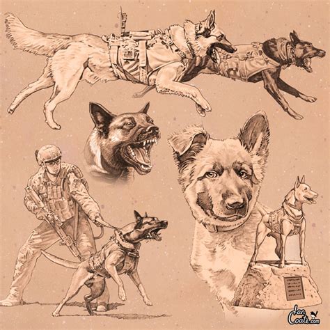 Military Working Dog And Combat Assault Dog Artworks By Military Artist