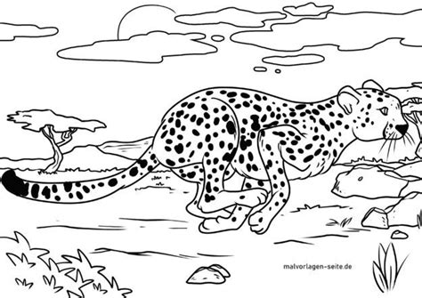 Malvorlage Gepard Ausmalbild Kostenlos Herunterladen