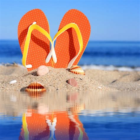 Summertime Outdoors Stock Photos Royalty Free Summertime Outdoors