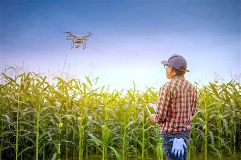 Szkody łowieckie szacowanie z drona AgroPixel