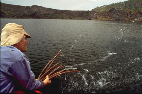Degassing The Killer Lake Nyos