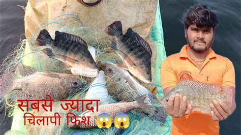 आज भरूपुर जास्त चिलापी आणि भतका मासे लागले Apfish9921 Fish 🐠🐠😄 Youtube