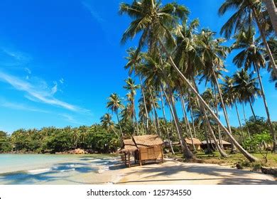 Beach Bungalow Tahiti French Polynesia Stock Photo Shutterstock