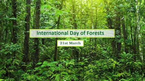 International Day of Forests – 21st March – Ministry of Wildlife and Forest Resources Conservation