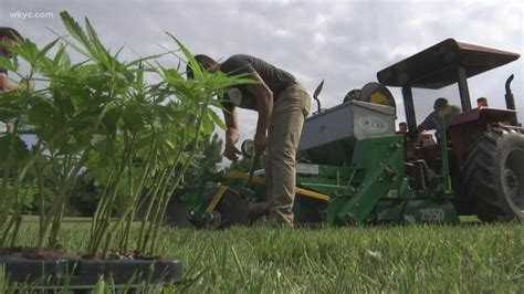 Usda Approves Hemp Plan For Ohio 2 Other States