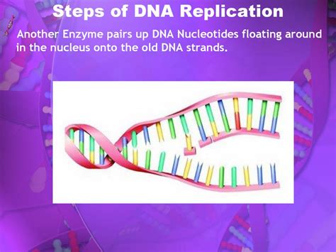 Dna And Rna Unit 7 Chapter Ppt Download