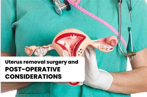 Uterus Removal Hysterectomy Surgery And Aftercare Explained Doctorsapp