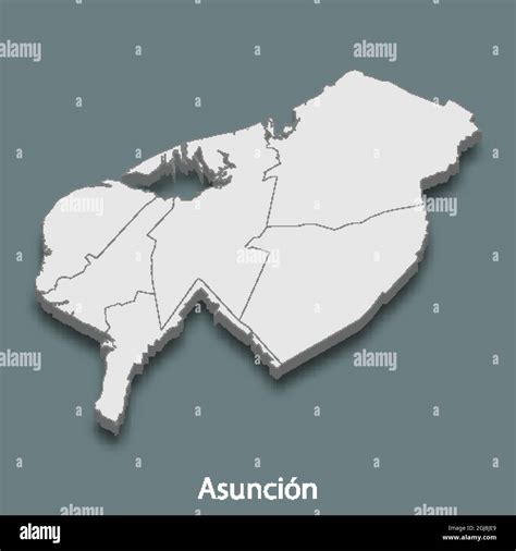 D Mapa Isom Trico De Asunci N Es Una Ciudad De Paraguay Ilustraci N