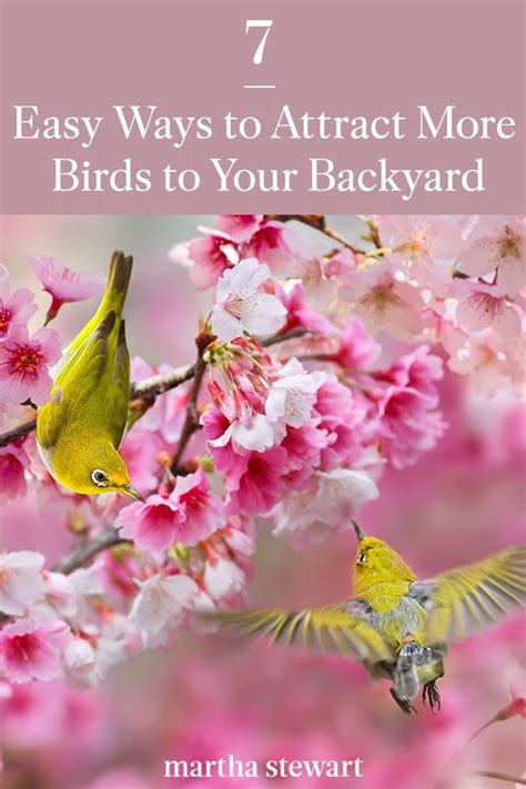 Seven Easy Ways To Attract More Birds To Your Backyard How To Attract Birds Cool Plants Plants