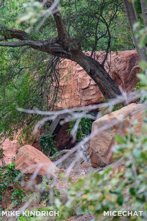 Disneyland Frontierland Big Thunder Trail Mine Train Through Nature S