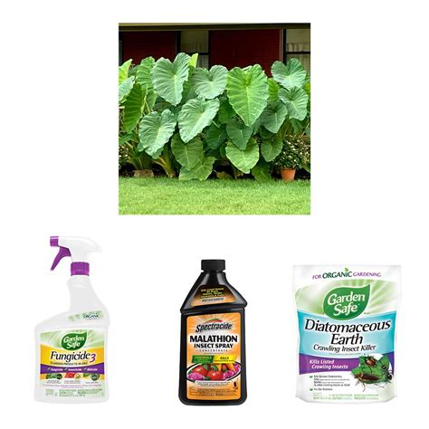 Shop Garden Safe Insect Killer With Garden State Bulb Green Mammoth