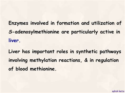 Metabolism Of Sulfur Containing Amino Acids Methionine Cysteine