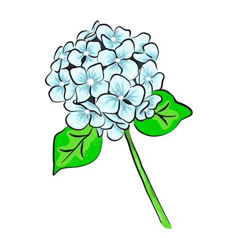 Hydrangea Vector Design Images Hydrangea Blue Flower Vector Png