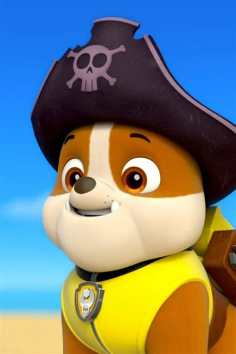 Pups And The Pirate Treasure Pictures Rotten Tomatoes