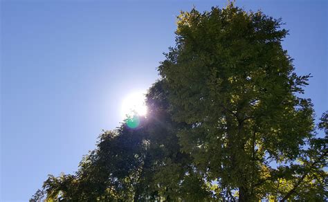 Banco De Imagens Panorama árvore Natureza Floresta Ramo Nuvem