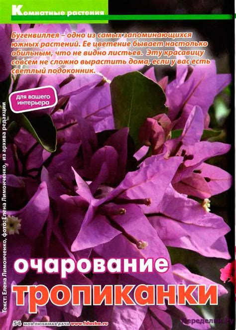 Моя любимая дача 3 2017 * Переделки.РуПеределки.Ру