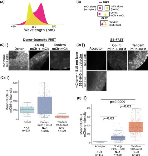 Nonfitting FLIMFRET Facilitates Analysis Of Protein Interactions In