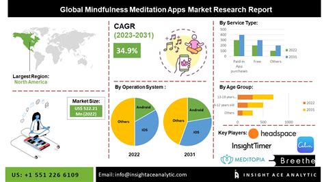 Mindfulness Meditation Apps Market Size, Scope, Growth and Revenue ...