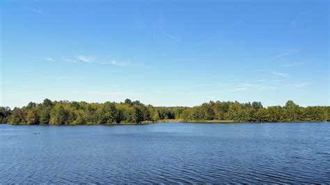 Lake vs Pond: What Is the Difference Between a Lake and a Pond?