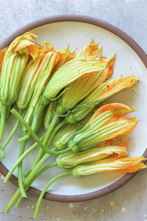 squash blossoms recipes 10