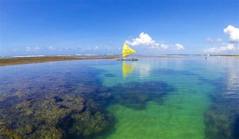 O Que Fazer Em Porto De Galinhas Guia Completo Brasil Turismo