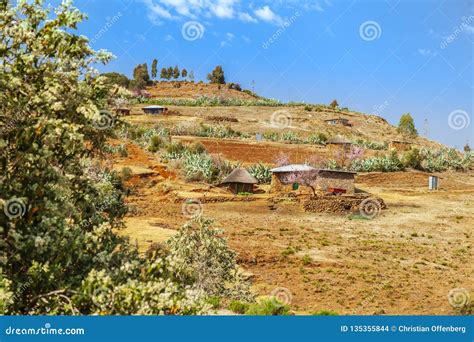 Traditional Basotho Huts In Lesotho Stock Photo Image Of House