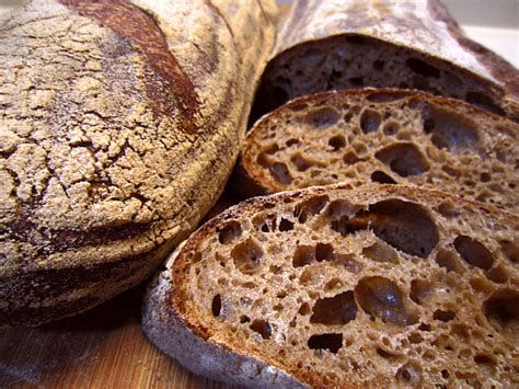 100 Whole Wheat Sourdough Bread At 100 Hydration Northwest Sourdough