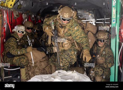 U S Marines With D Battalion Th Marine Regiment D Marine Division