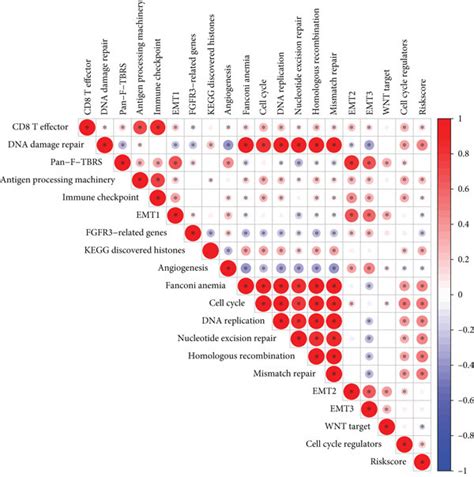 Biological State Process And Stemness Features Of The Download