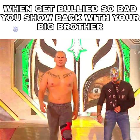 21 Wwe Memes That Hit Us Like Sweet Chin Music Funny Gallery Ebaum