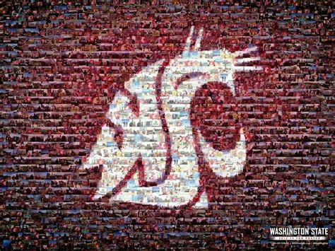 GO COUGS!! | Fan poster, Sport poster, Graphic