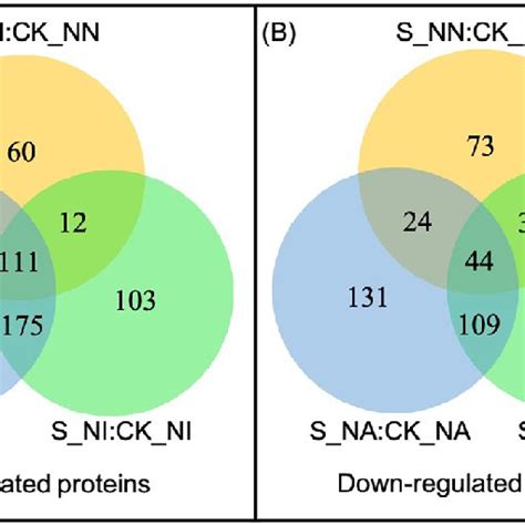 Venn Diagrams Of The Differentially Expressed Proteins In Alfalfa