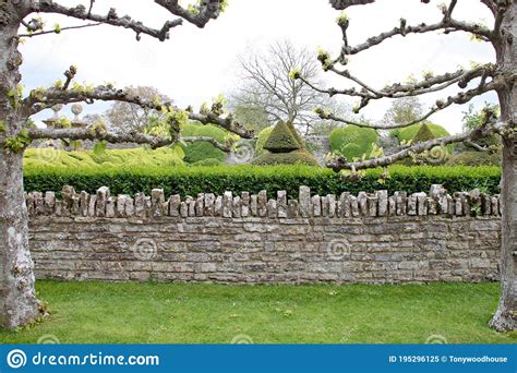 A Dry Stone Wall With Lichen Growing On It Stands In Front Of A Clipped