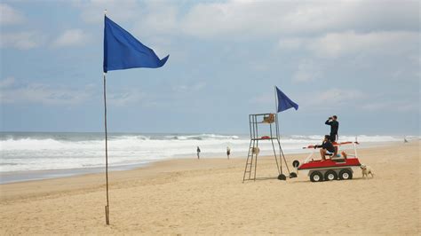 Te Contamos Aqu Lo Que Te Ofrecen Las Playas Con Bandera Azul Viajes