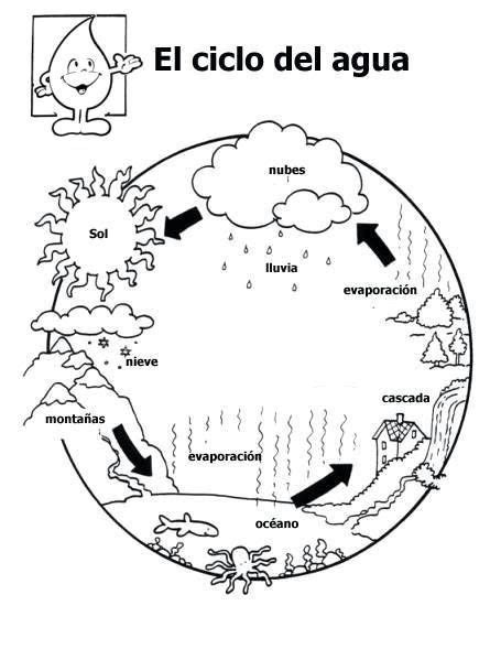 Top 78 Imagen Dibujos Importancia Del Agua Thptnganamst Edu Vn