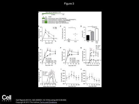 Bisphosphonates Target B Cells To Enhance Humoral Immune Responses