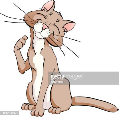 Cat Scratch High-Res Vector Graphic - Getty Images