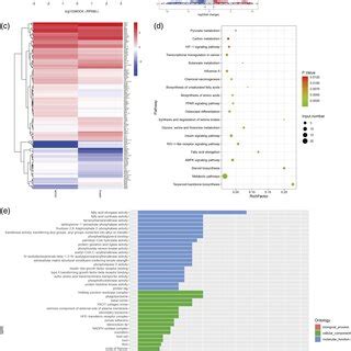 Evaluation of transcriptome sequencing data, functional annotation, and ... 