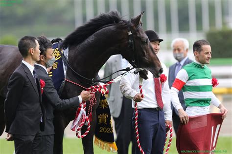 マジみっきー On Twitter 2023年4月29日 第30回青葉賞（gⅡ） 東京芝2400m 優勝 スキルヴィング〔cルメール