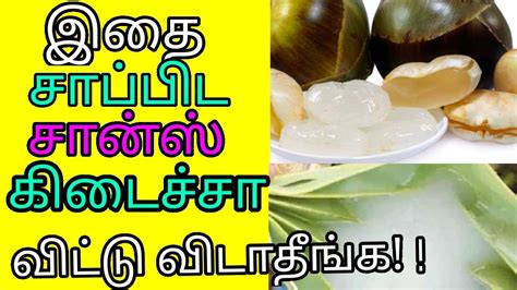 இதை சாப்பிட சான்ஸ் கிடைச்சா விட்டு விடாதீர்கள்palm Sunk Benefits