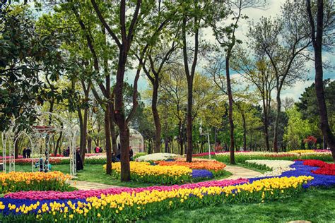 Pentingnya Manfaat Taman Kota Bagi Kesehatan Masyarakat