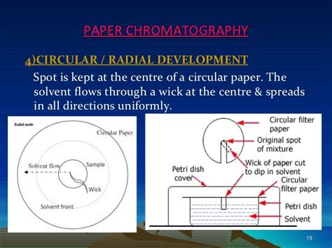 Paper Chromatography Ppt New