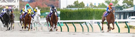 【チャンピオンズc】これぞ帝王の走り！テーオーケインズ6馬身差v 松山弘平騎手「ダート界を引っ張る存在になって」 Umatoku 馬トク