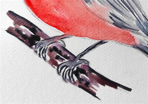 Bullfinch Original Watercolor Painting Etsy