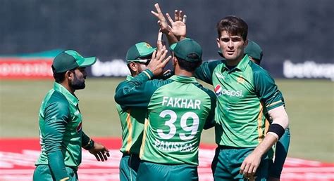 Fakhar Zaman Shaheen Afridi Rise To Career Best Icc Odi Rankings