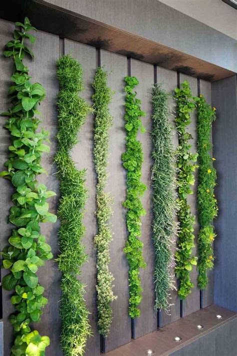 Como hacer un jardín vertical en casa Miroytengo